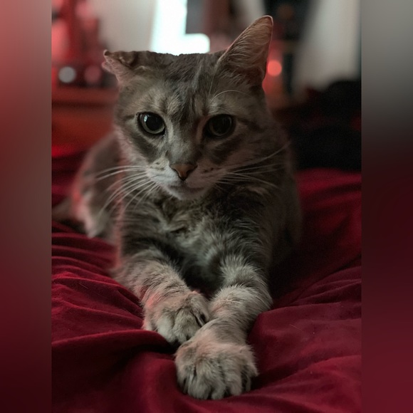 Meet your Posher, April - Picture 3 of 3